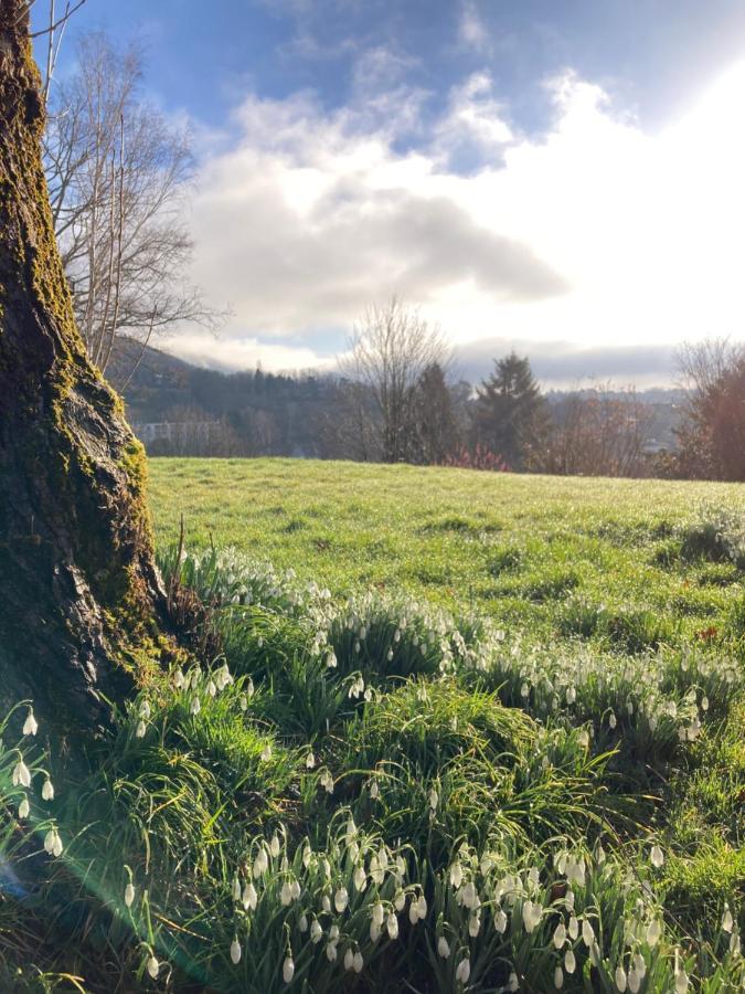 La Tuilerie Chambres D'Hotes Saint-Die-des-Vosges ภายนอก รูปภาพ